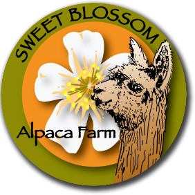 Sweet Blossom Alpaca Farm - Millen, Georgia